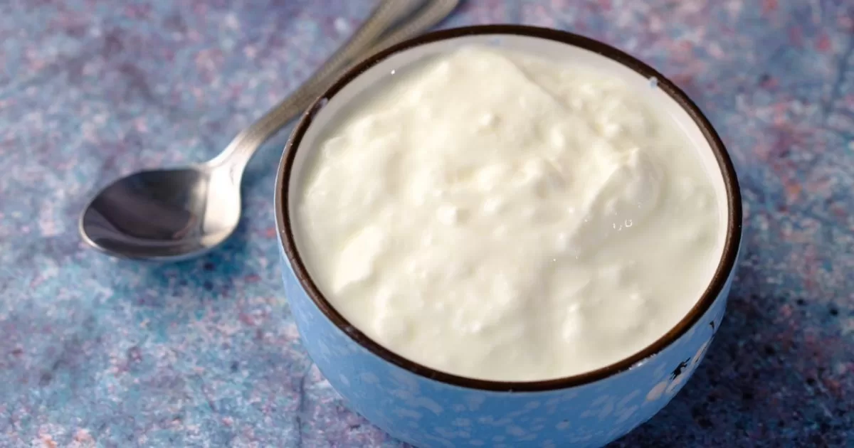 Top 10 Foods For Healthy Living yogurt