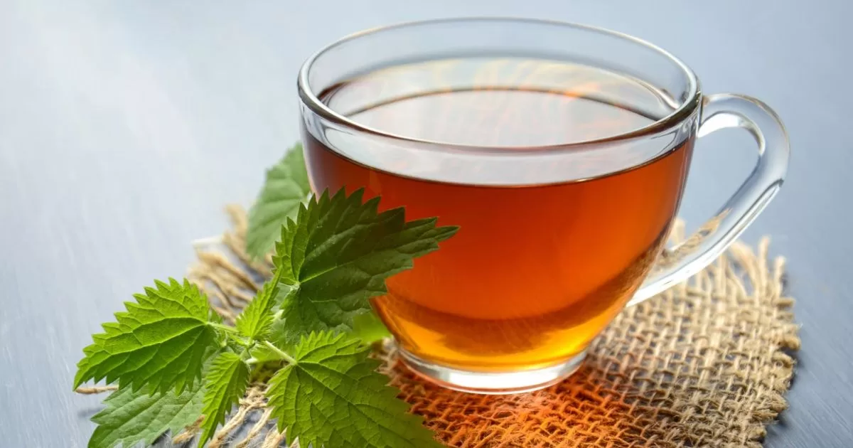 10 Remarkable Benefits Of Tea green tea