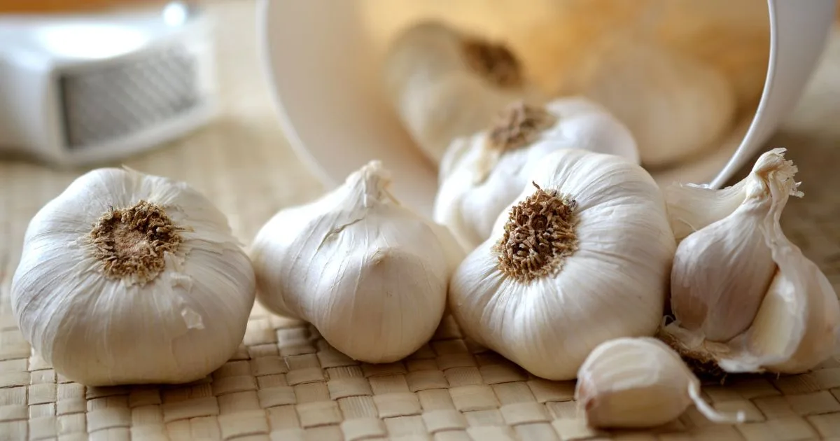 Honey and Garlic Benefits Of Health